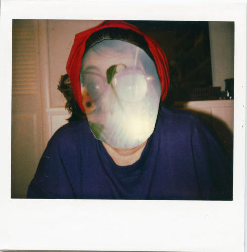 poloroid 3 copy